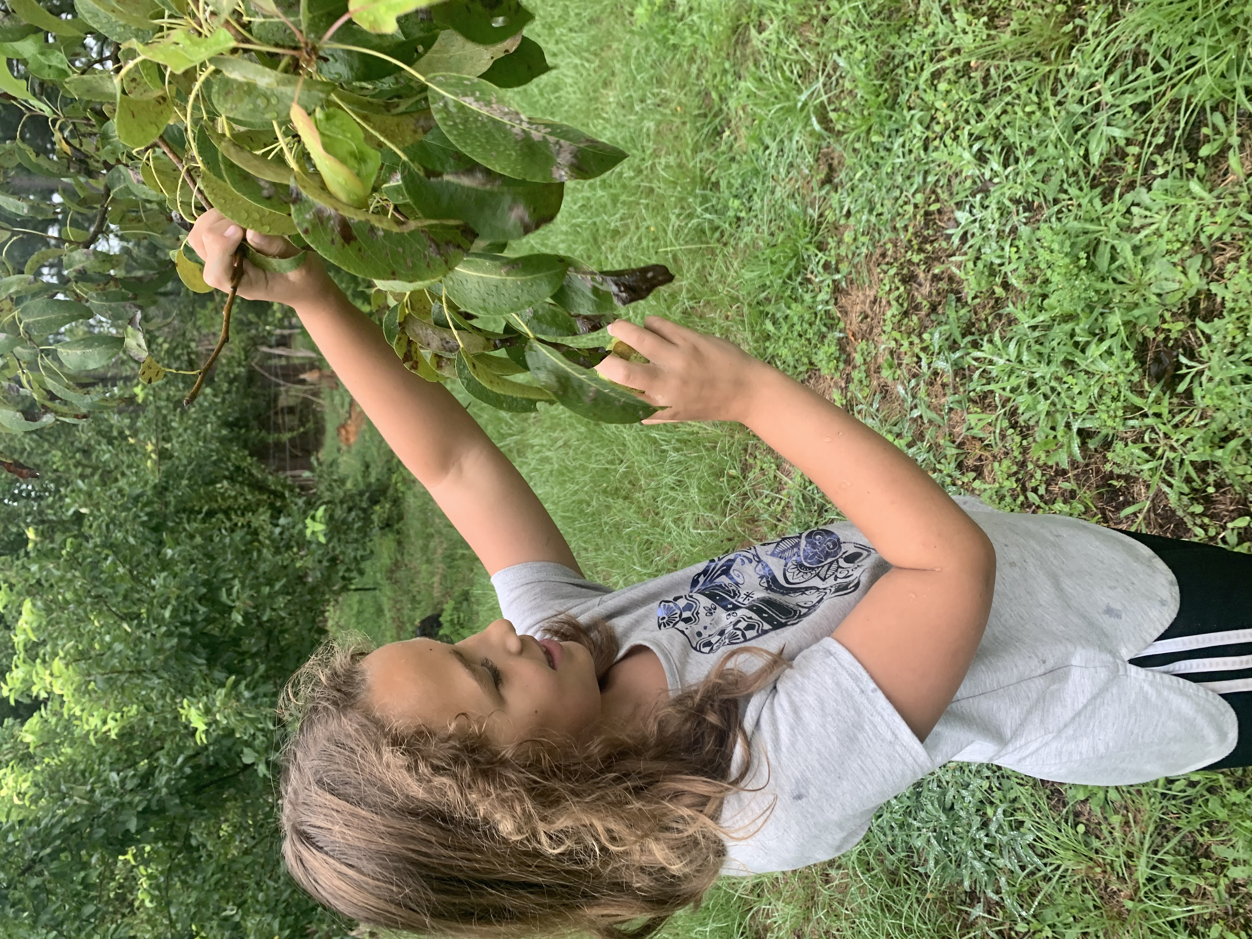 Harvest 2022